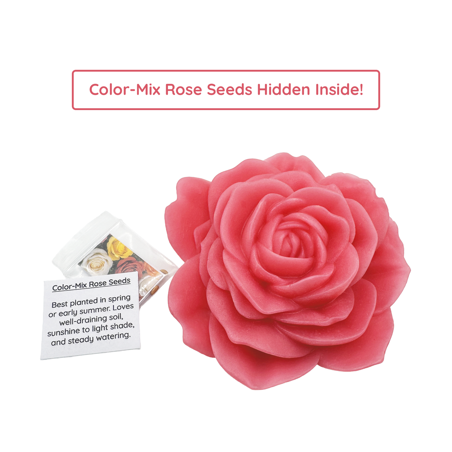 Romantic Rose